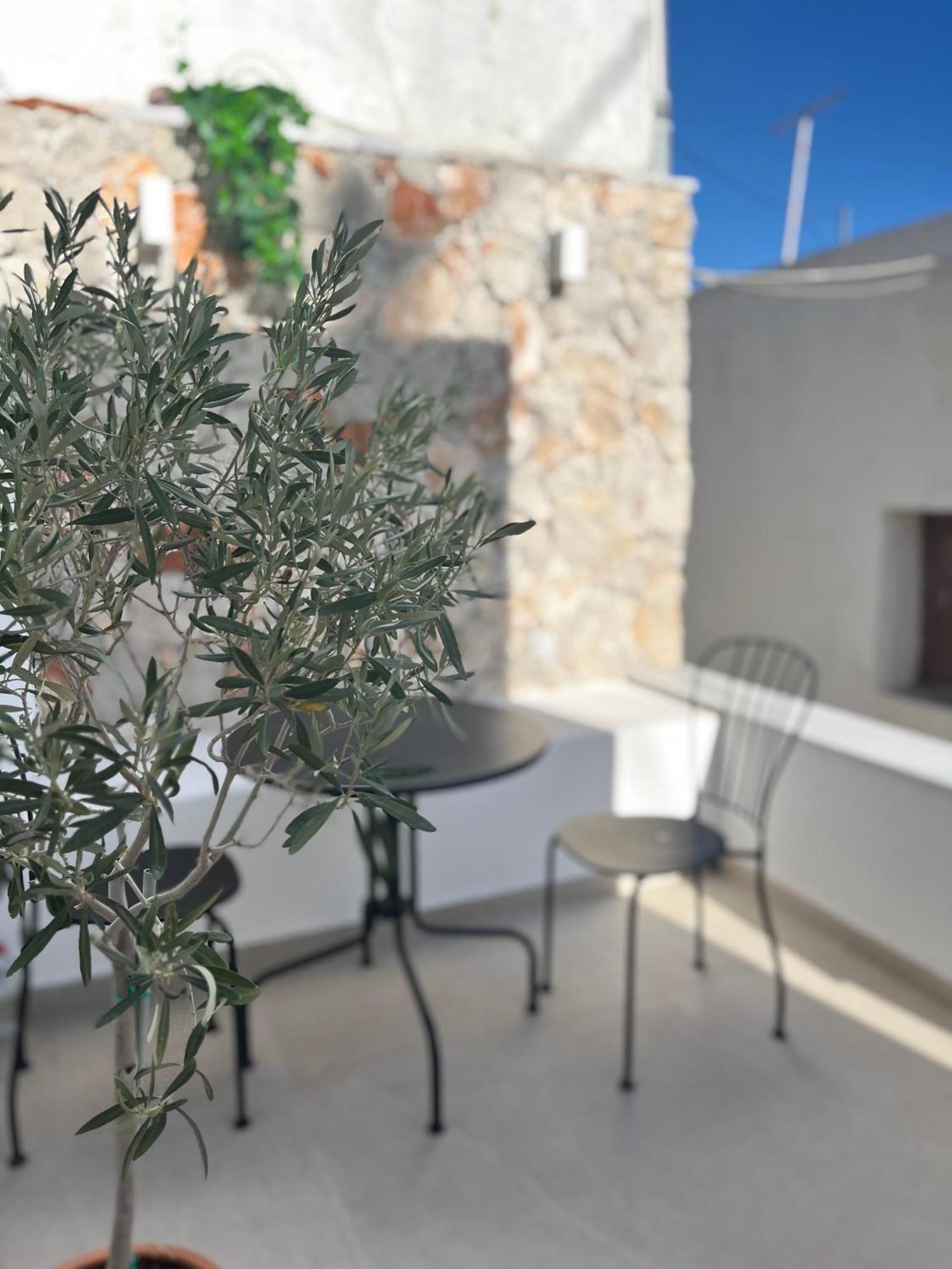 Casa Stergia - Village Project Semesterbostad Psinthos
